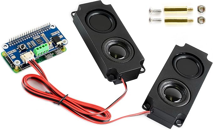 The WM8960 module
